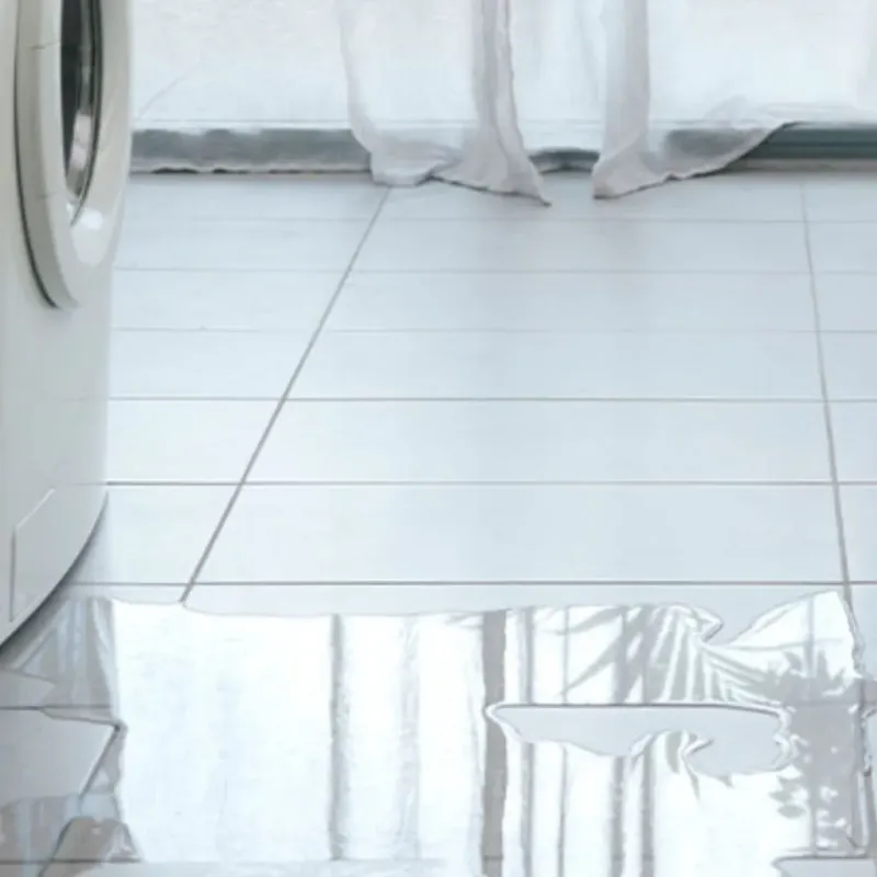 Appliance Leak Cleanup in South Padre Island, TX