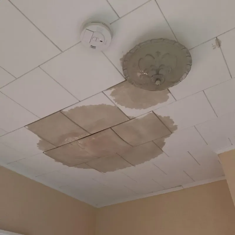 Ceiling Water Damage Repair in South Padre Island, TX
